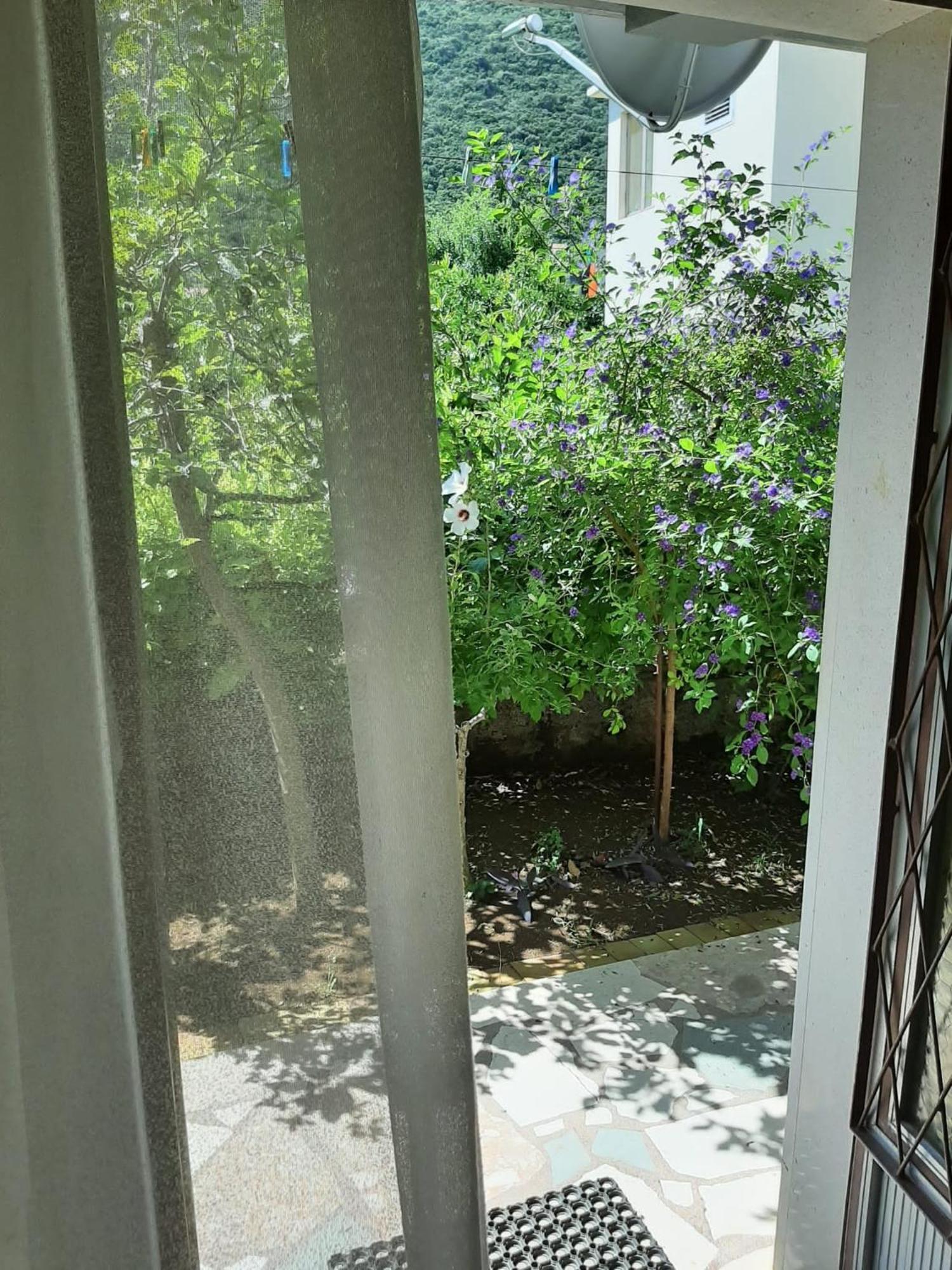Apartments And Rooms With Parking Space Trpanj, Peljesac - 250 ห้อง รูปภาพ